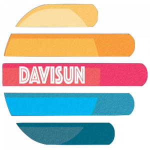 Davisun Co.Ltd