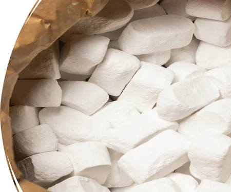 Sodium Carbonate Briquette